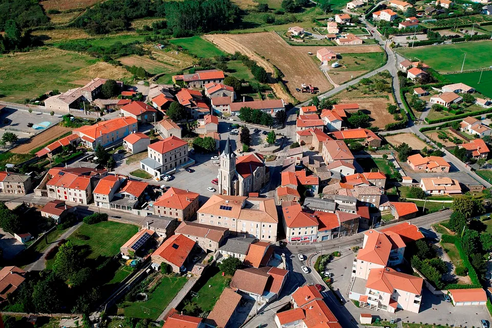 Félines