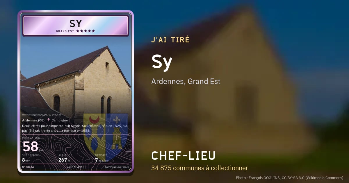 Sy