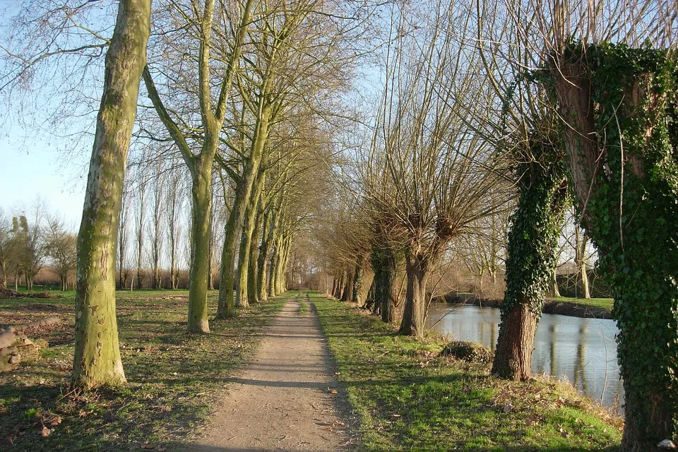 Romilly-sur-Seine