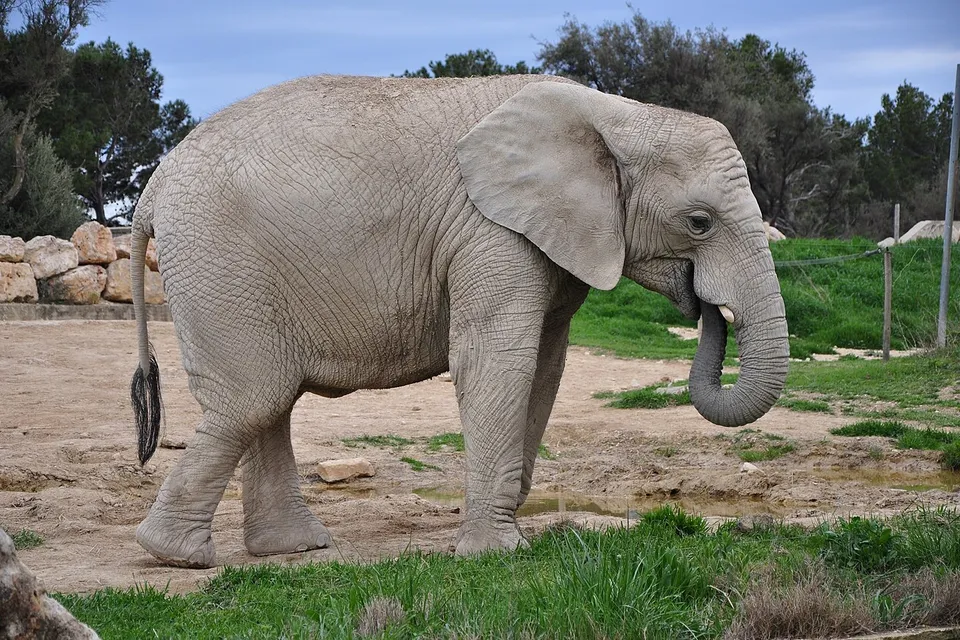 Sigean