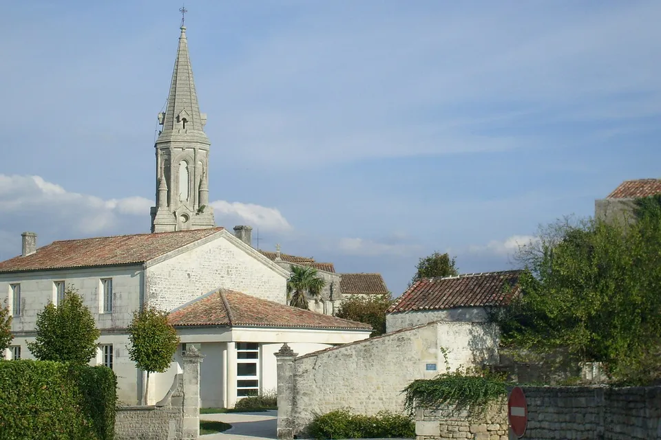 Tesson