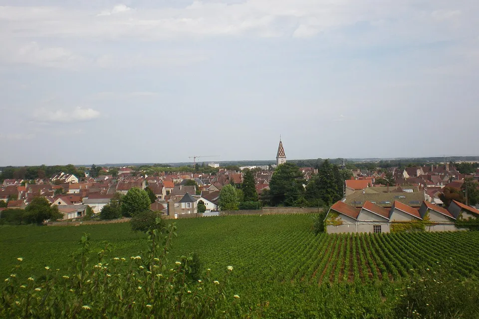 Nuits-Saint-Georges
