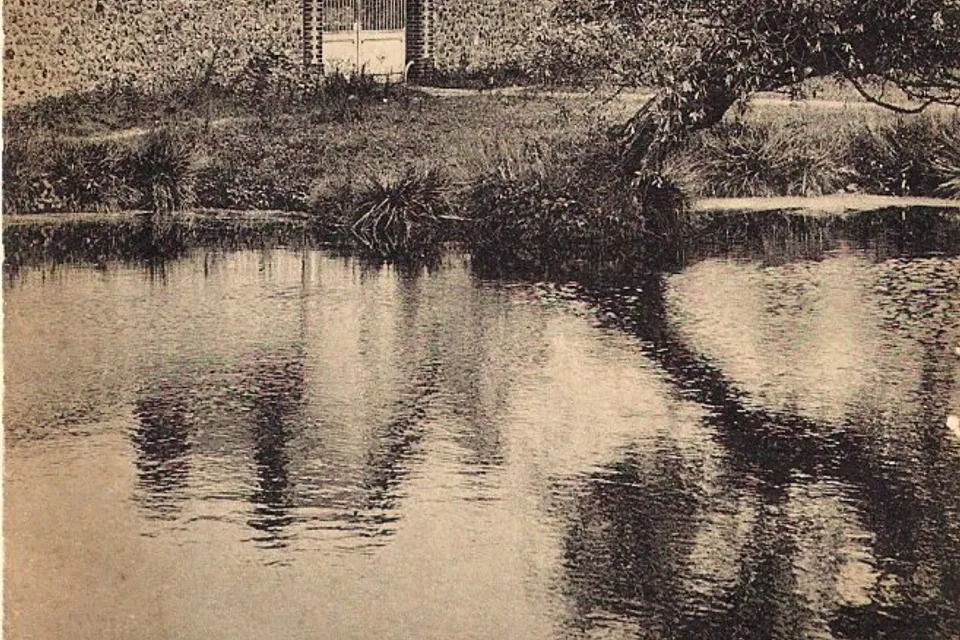 Bailleau-le-Pin