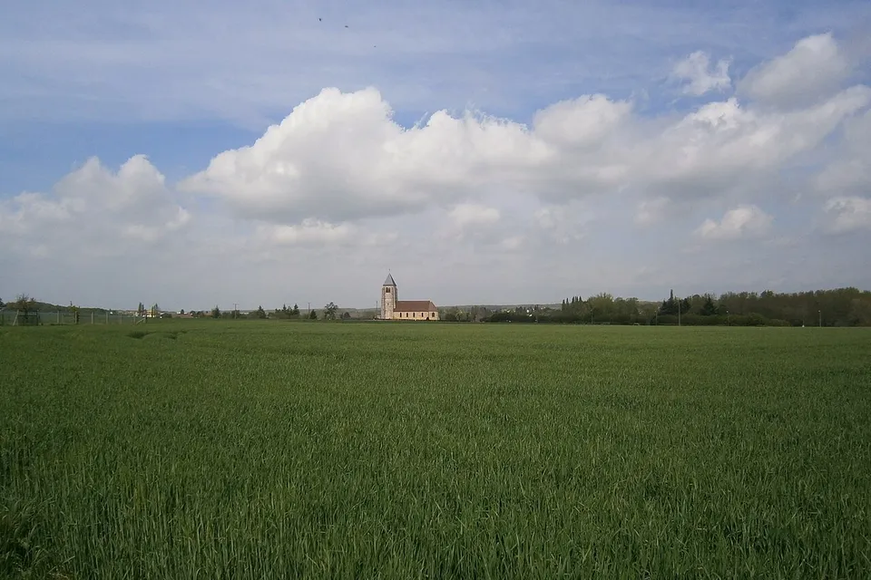 Hanches