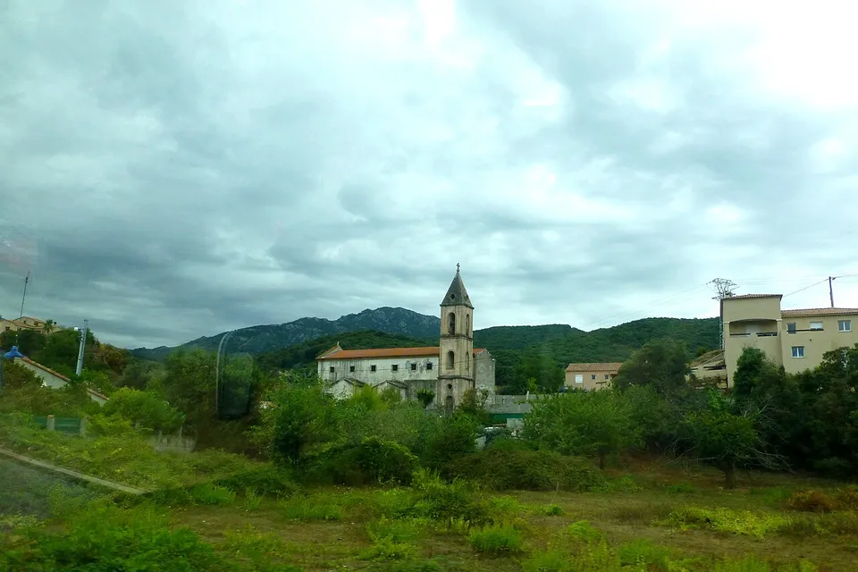 Cauro