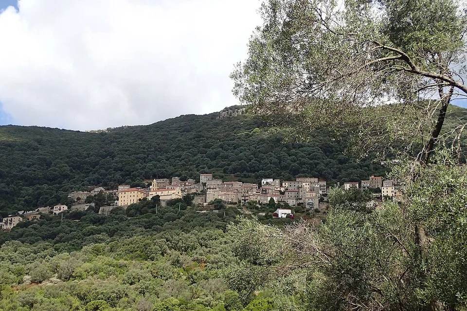 Olmeto