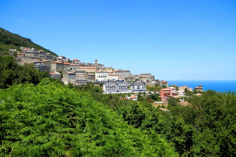 Cervione