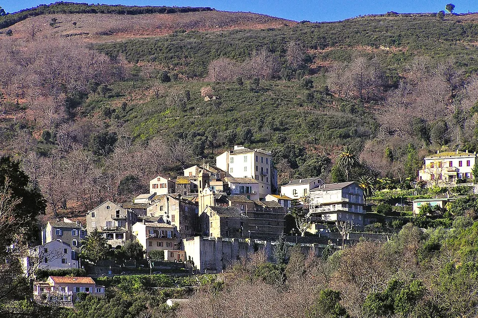 Lucciana