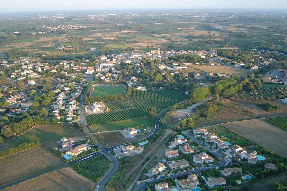 Entre-Vignes