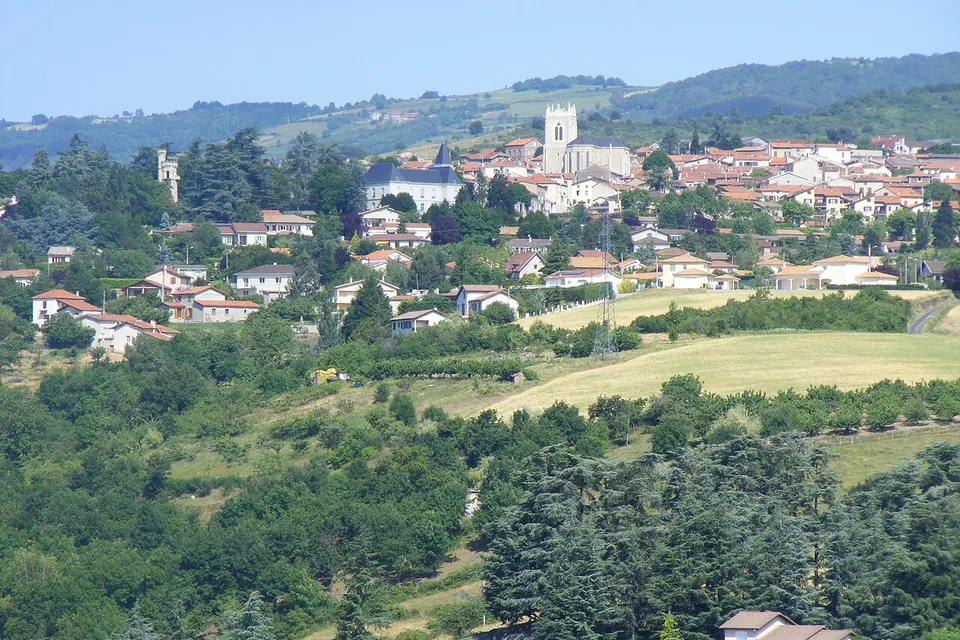 Saint-Martin-la-Plaine