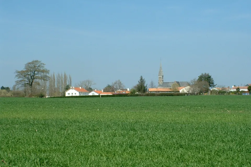 Chauvé