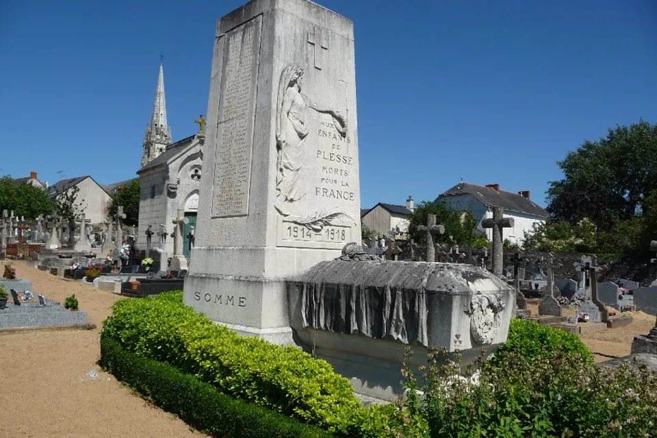 Plessé