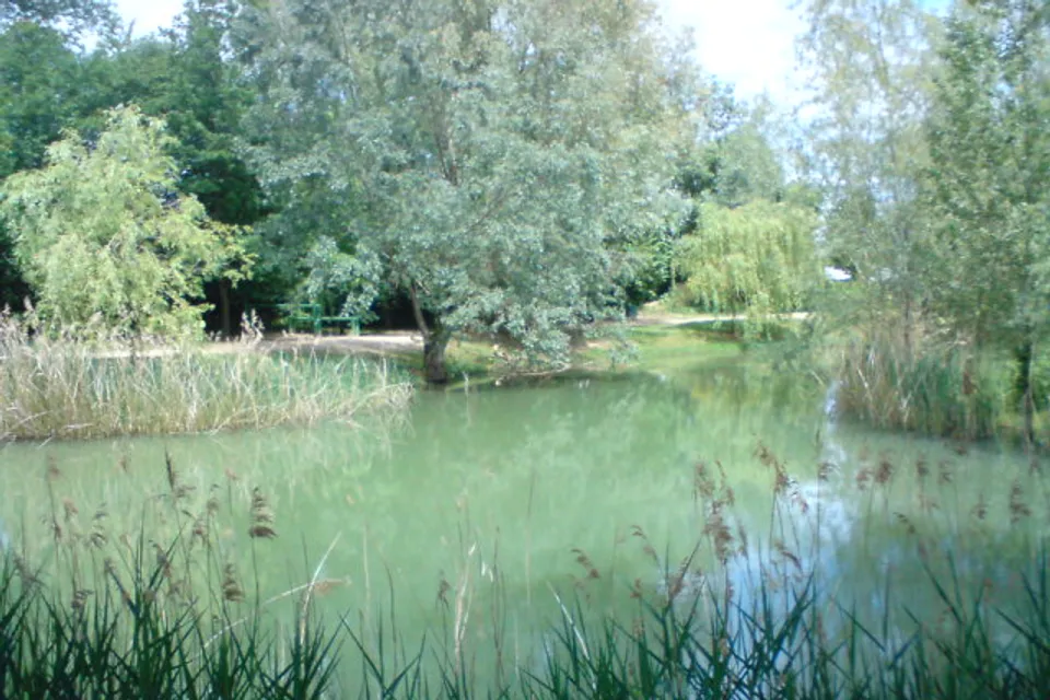 Foulayronnes