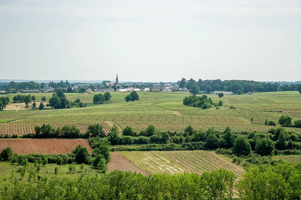 Val-du-Layon