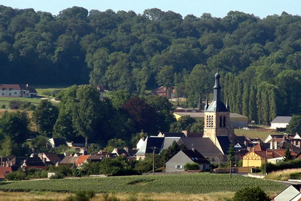 Saint-Martin-d'Ablois