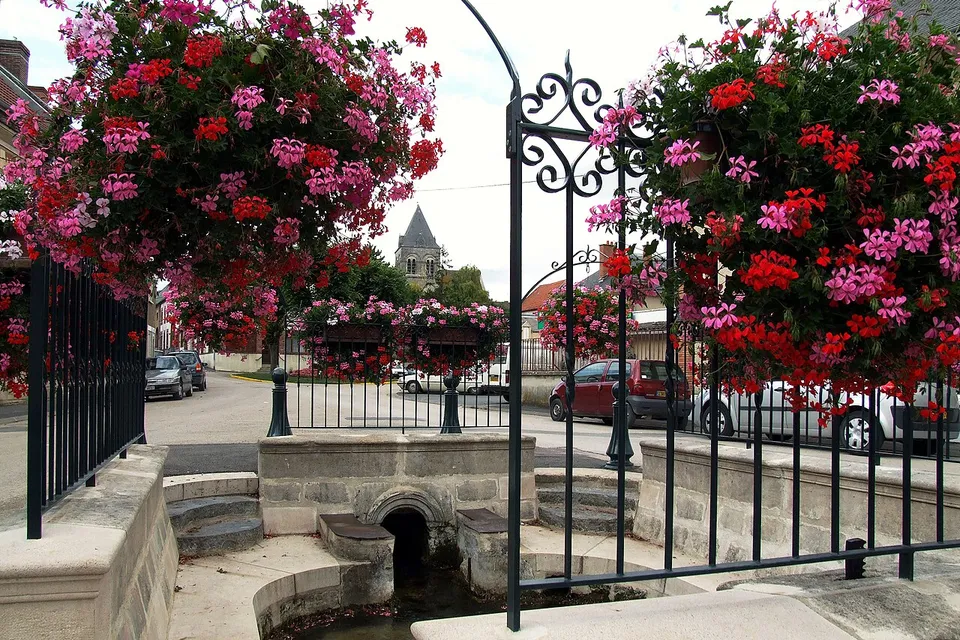 Blancs-Coteaux