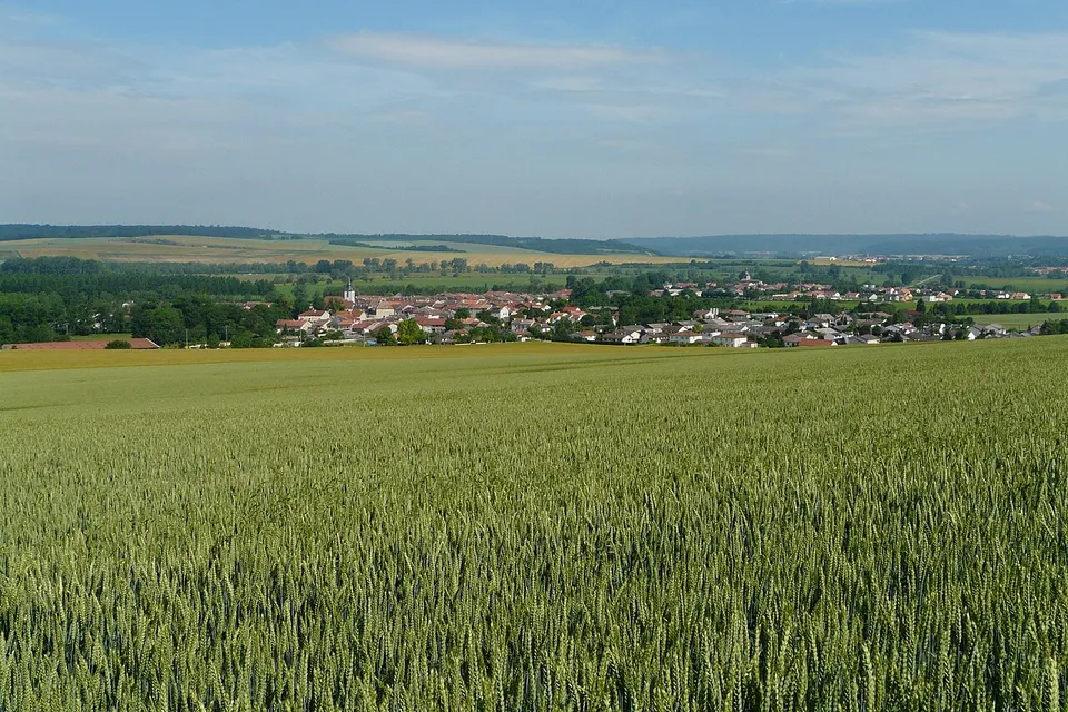 Sorcy-Saint-Martin