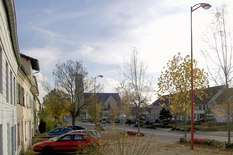 Willerwald