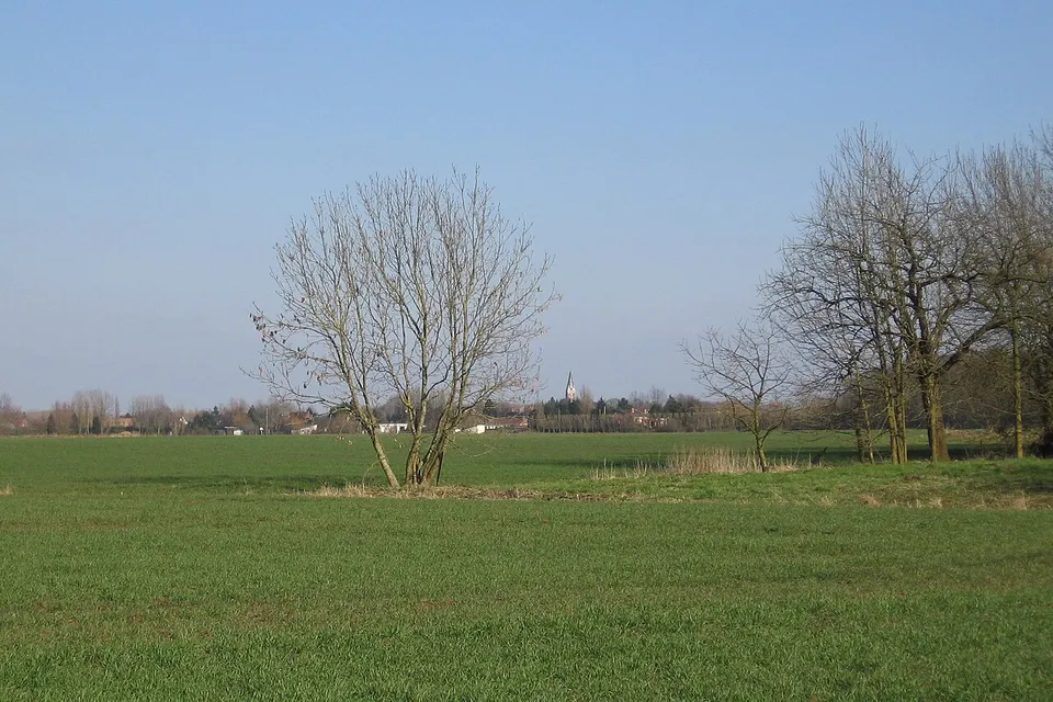 Aubers