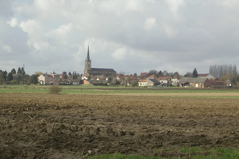 Willems