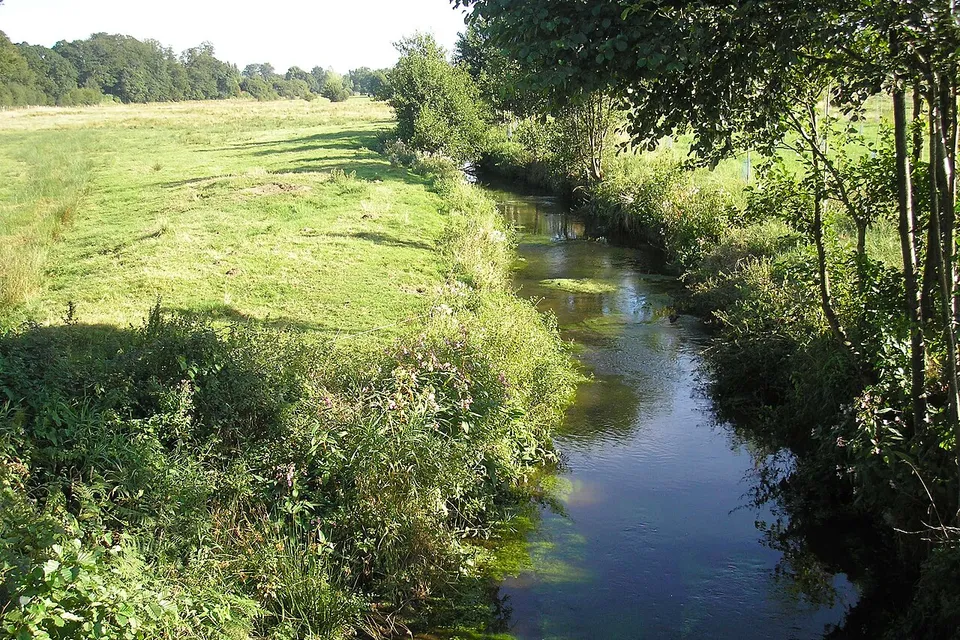 Saint-Georges-des-Groseillers