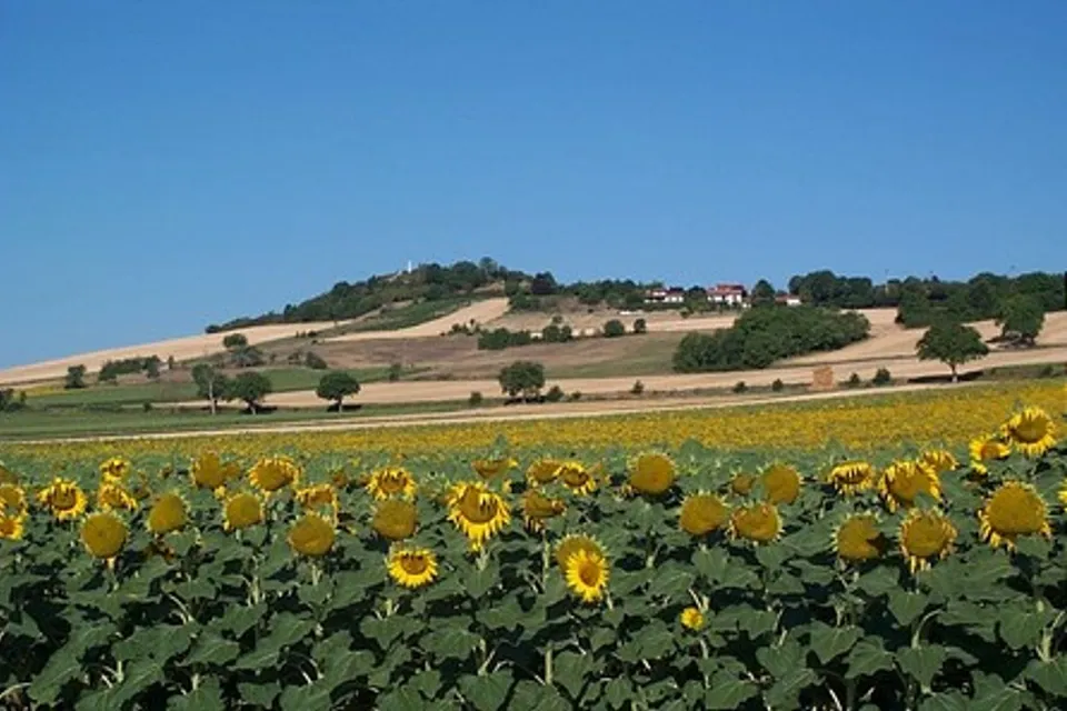 Luzillat