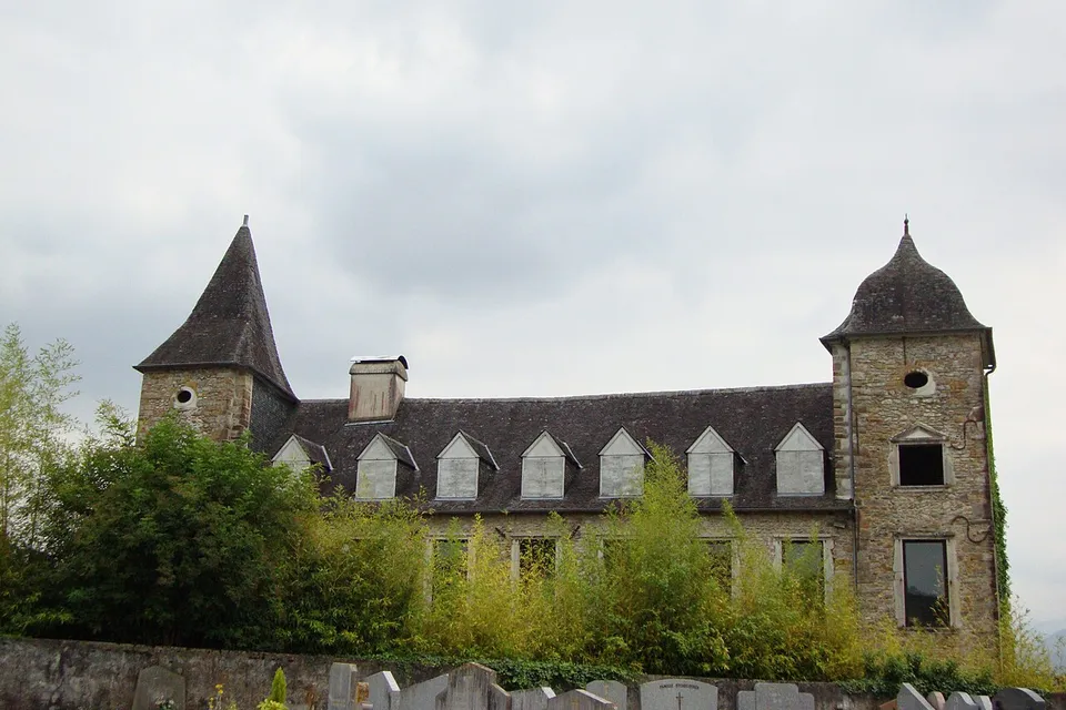 Ledeuix