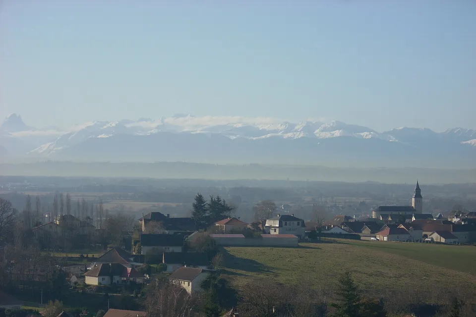Sauvagnon