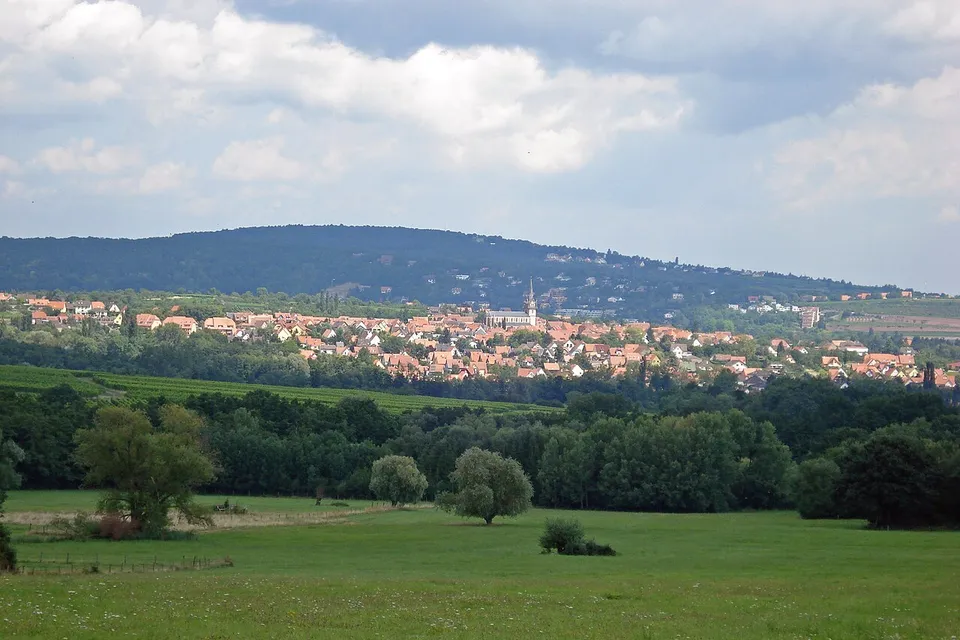 Bernardswiller