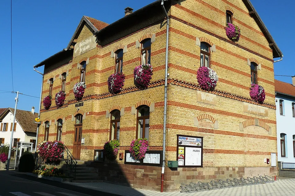 Mussig