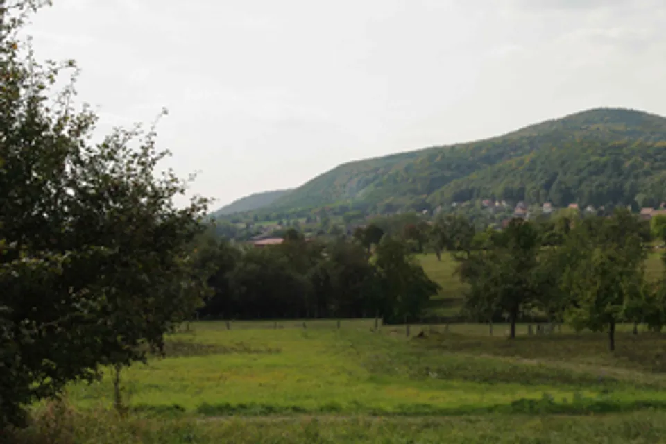 Oberbronn
