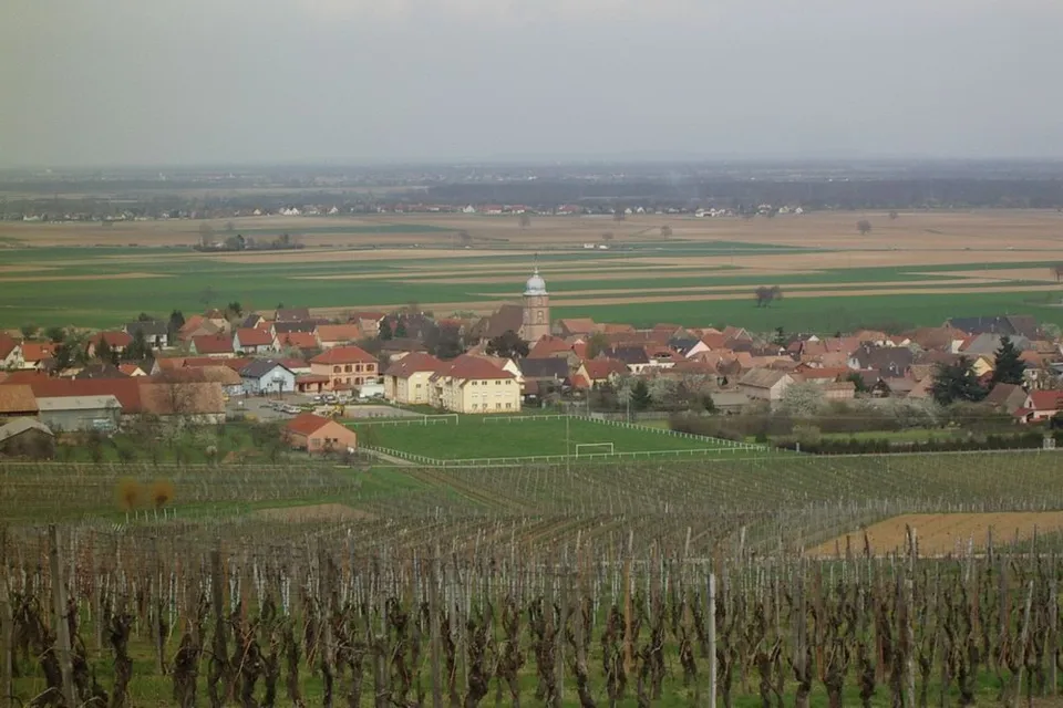Bergholtz
