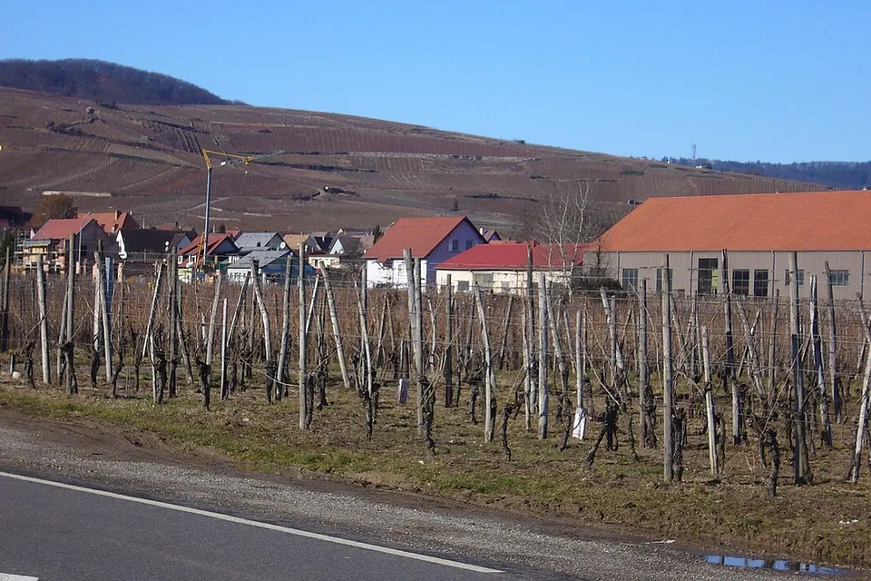 Wettolsheim