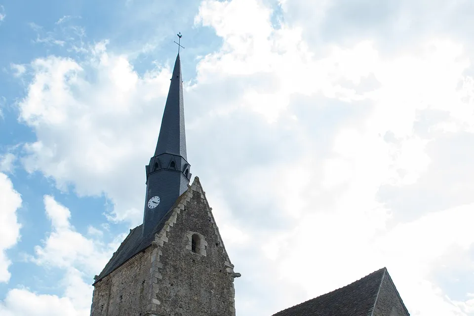 Dollon