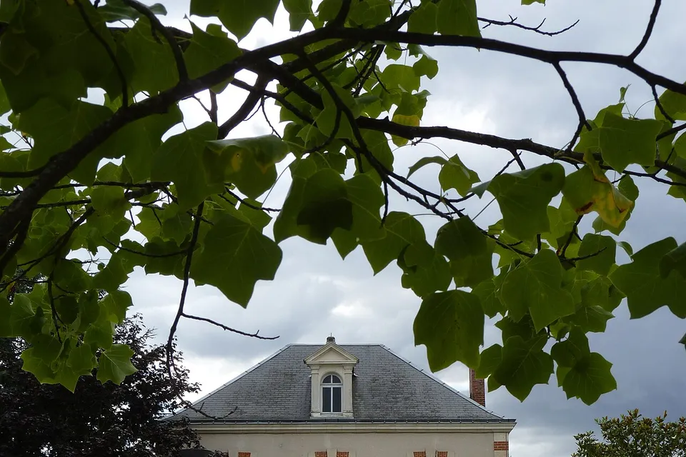 Saint-Pavace