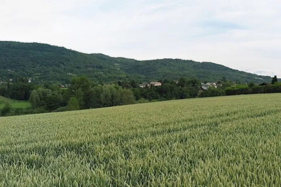 Saint-Cergues