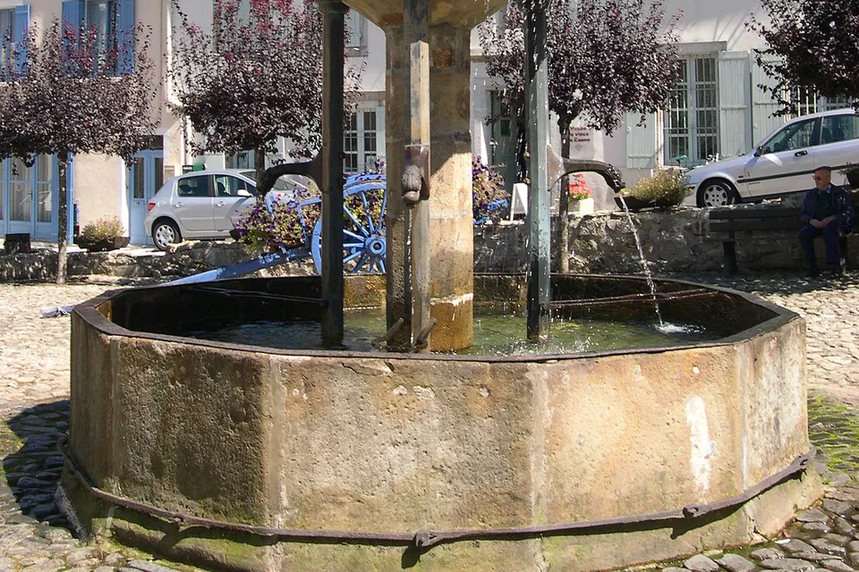 Lacaune