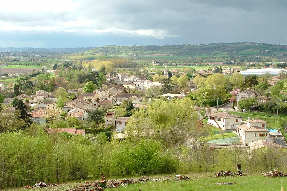 Malause