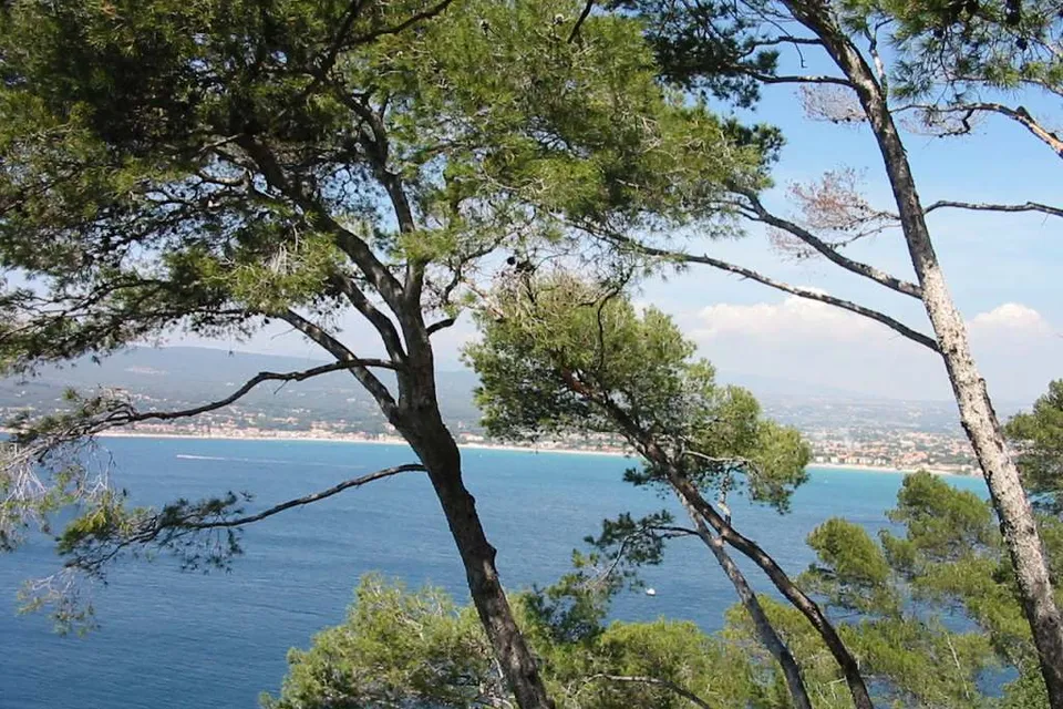 Saint-Cyr-sur-Mer