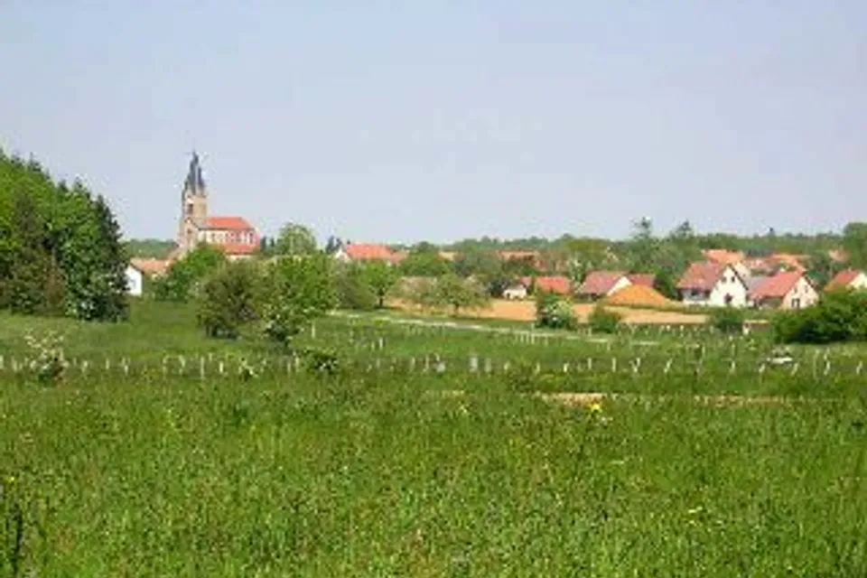 Vézelois
