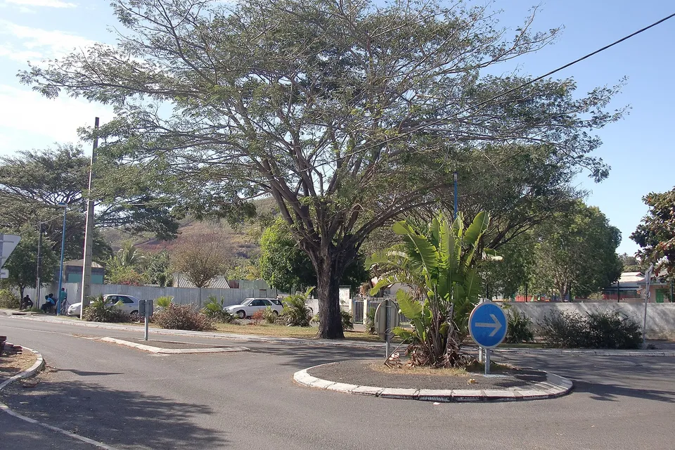 Pamandzi